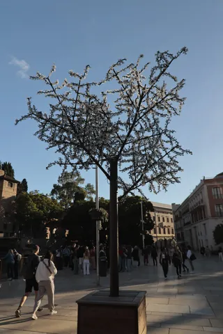 Tokina at-x 116 (EF) - 00002622.jpg