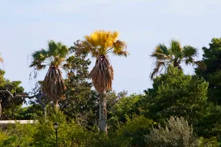 Tamron 28-300mm F3.5-6.3 (EF) - 00003710.webp