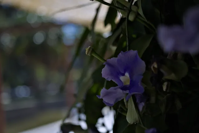 Industar-50-2 50mm f3.5 (M42) - 00000129.webp