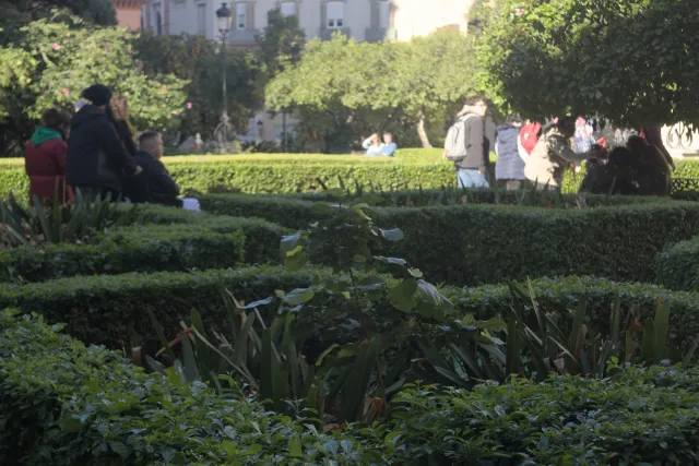 Zenith Helios-77M-4 50mm f1.8 VOMZ (M42) - 00000738.webp