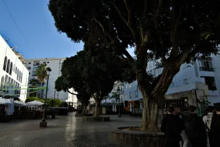 Tokina at-x 116 (EF) - 00000336.webp