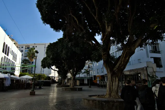 Tokina at-x 116 (EF) - 00000336.webp