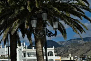 Tamron 28-300mm F3.5-6.3 (EF) - 00000353.webp