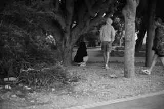 Carl Zeiss Jena DDR Pancolar Electric 50mm f1.8 (M42) - 00003770.webp