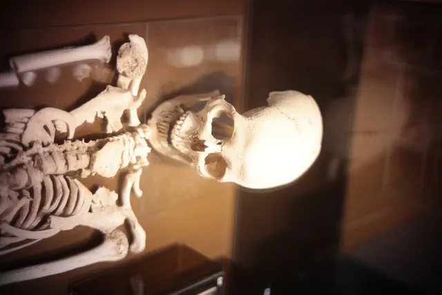 KOWA SUPER PROMINAR-16 50mm f1.2 Eiki 16mm (DIY) - 00003869.webp