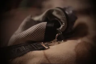 Simplex Ampro Ltd 2.5cala (63.5mm) f1.8 16mm (DIY) - 00002157.webp