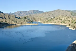 Tamron 28-300mm F3.5-6.3 (EF) - 00000783.webp