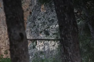 Osawa 135mm f2.8 (Minolta MD) - 00003016.webp