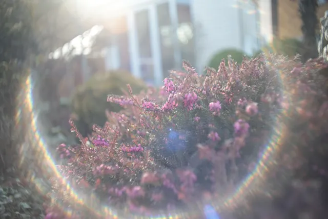 Mamiya-Sekor SX Auto 28mm f2.8 (M42) - 00004904.webp