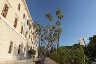 Tokina at-x 116 (EF) - 00002597.webp