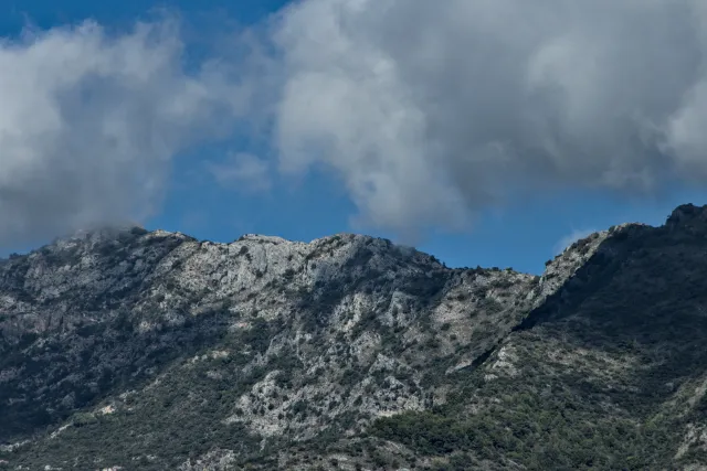 Tamron 28-300mm F3.5-6.3 (EF) - 00001079.webp