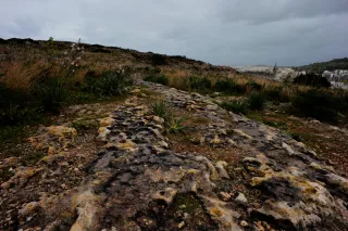 Carl Zeiss Flektogon f4 20mm (m42).md - 00004492.webp