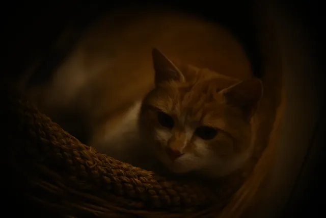 Simplex Ampro Ltd 4 (101.6mm) f2.8 16mm (DIY) - 00002125.webp