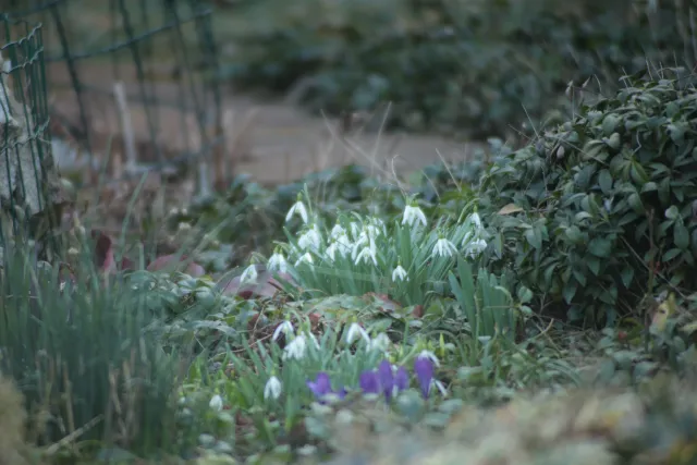 Spiratone Plura-Coat SharpShooter-S 400mm f6.3 (T2-M42) - 00005278.webp