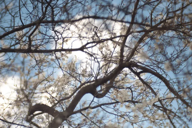 Helios 100mm f2 Mini Cyclop (M42) - z noktowizora - 00005669.webp