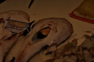 Tamron 28-300mm F3.5-6.3 (EF) - 00000579.webp