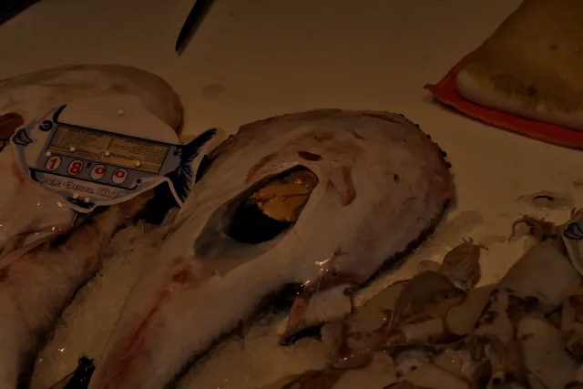 Tamron 28-300mm F3.5-6.3 (EF) - 00000579.webp