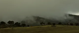 Tamron 28-300mm F3.5-6.3 (EF) - 00001468.webp