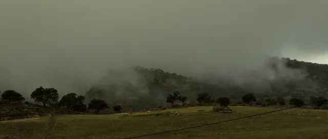 Tamron 28-300mm F3.5-6.3 (EF) - 00001468.webp