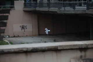 Osawa 135mm f2.8 (Minolta MD) - 00002886.webp