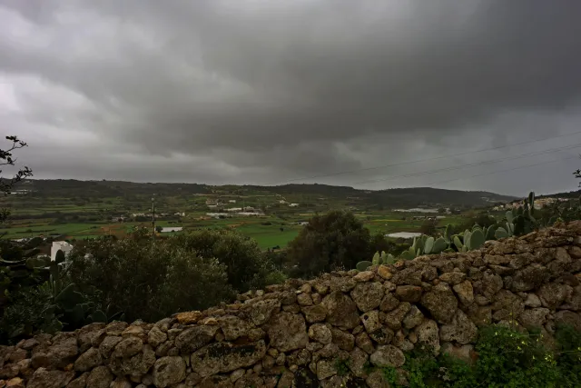 Carl Zeiss Flektogon f4 20mm (m42).md - 00004433.webp