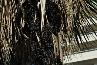 Industar-50-2 50mm f3.5 (M42) - 00000163.webp