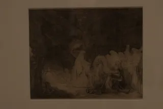 Tamron 28-300mm F3.5-6.3 (EF) - 00000532.webp