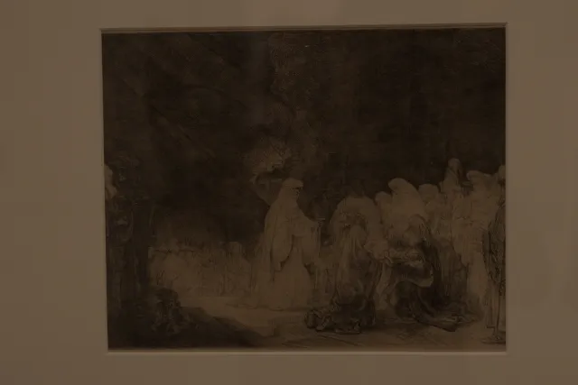 Tamron 28-300mm F3.5-6.3 (EF) - 00000532.webp