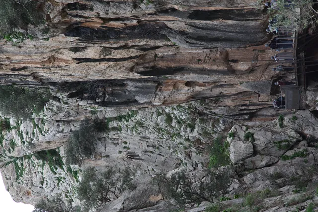 Osawa 135mm f2.8 (Minolta MD) - 00002944.webp