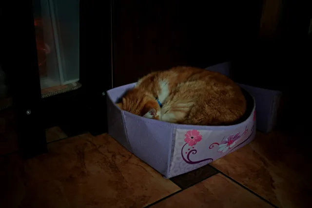 Hoya HMC Wide-auto 28mm f2.8 (FD) - 00005199.webp