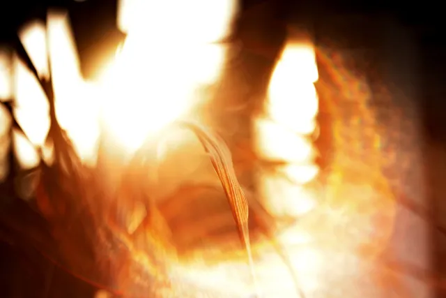 Yashica Lens DSB 55mm f2 (CY) - 00005385.webp