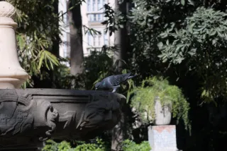 Zenith Helios-77M-4 50mm f1.8 VOMZ (M42) - 00000864.webp