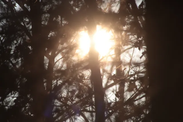 Spiratone Plura-Coat SharpShooter-S 400mm f6.3 (T2-M42) - 00005333.webp