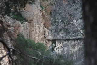 Osawa 135mm f2.8 (Minolta MD) - 00003018.webp