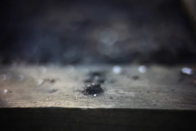 KOWA SUPER PROMINAR-16 50mm f1.2 Eiki 16mm (DIY) - 00002056.webp