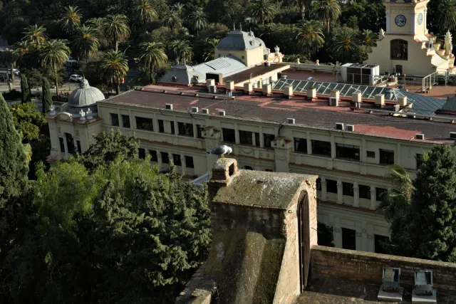 Meyer-Optik Görlitz Primagon 35mm f4.5 (M42) - 00001179.webp