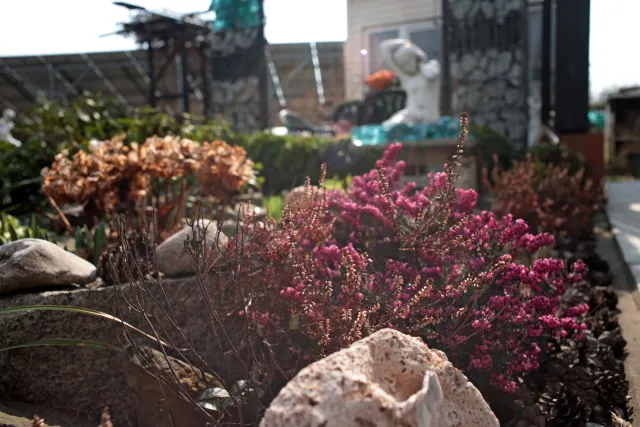 Minolta MC W.Rokkor-SI 28mm f2.5 (Minolta MD) - 00005242.webp