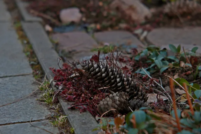 ISCO-Göttingen Isconar 135mm f4 (M42) - 00004956.webp