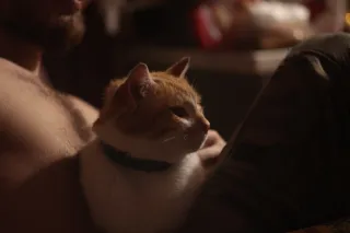 PZO Krytar 85mm f2.8 (DIY) - 00001559.webp