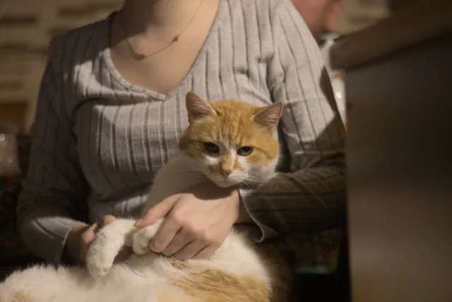 Prexer Krytos 85mm f2.8 (DIY) - 00001496.webp