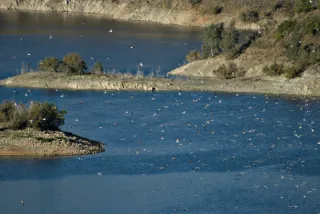 Tamron 28-300mm F3.5-6.3 (EF) - 00000787.webp