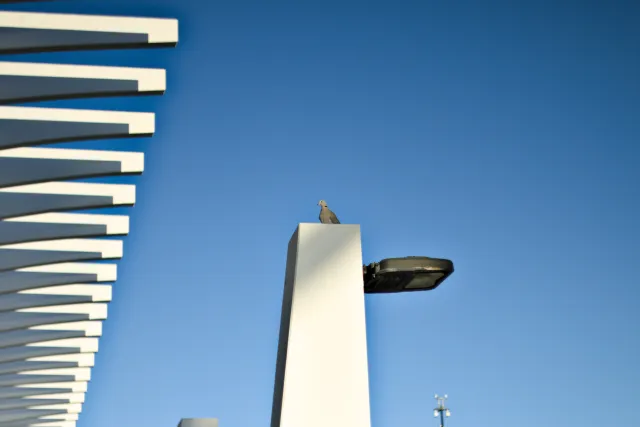 Zenith Helios-77M-4 50mm f1.8 VOMZ (M42) - 00000675.webp