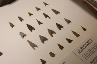 Minolta MC Rokkor-PF 55mm f1.7 (Minolta MCMD) - 00002871.webp