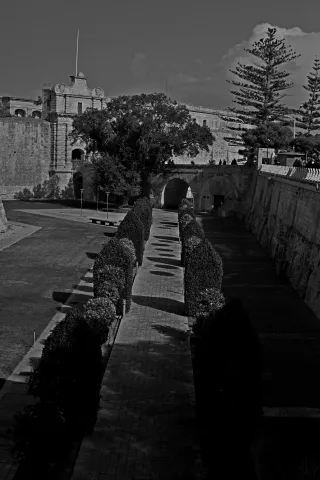 Carl Zeiss Jena DDR Pancolar Electric 50mm f1.8 (M42) - 00003626.webp