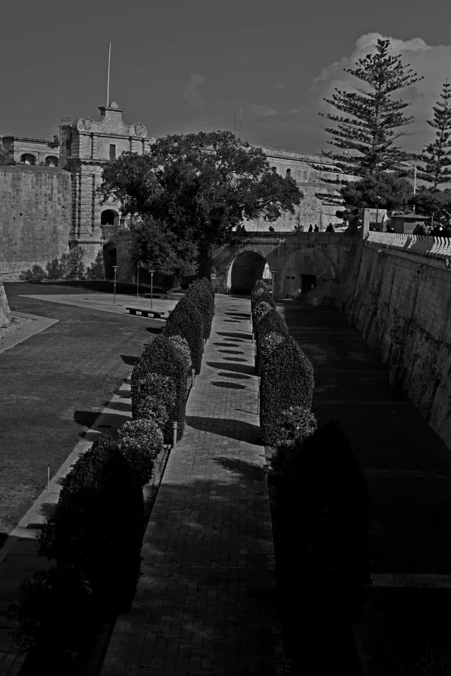 Carl Zeiss Jena DDR Pancolar Electric 50mm f1.8 (M42) - 00003626.webp