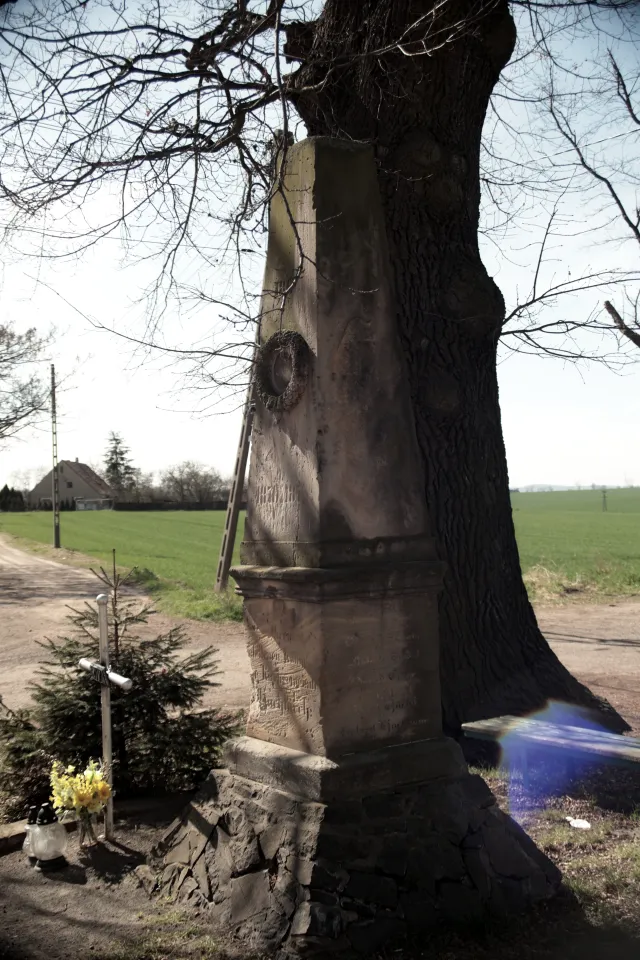 Vivitar Series 1 28-105mm f2.8-3.8 VMC Macro (Olympus OM) - 00005532.webp