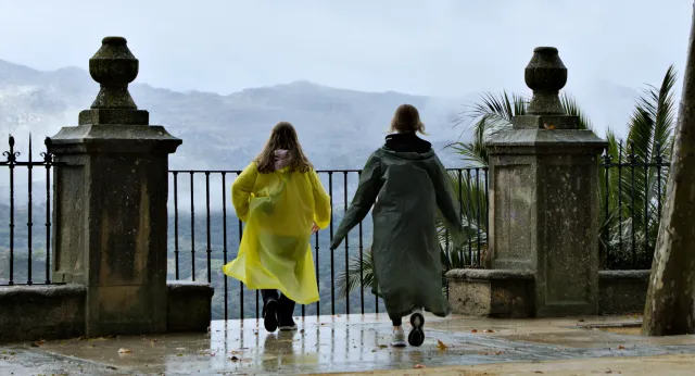 Tamron 28-300mm F3.5-6.3 (EF) - 00001457.webp