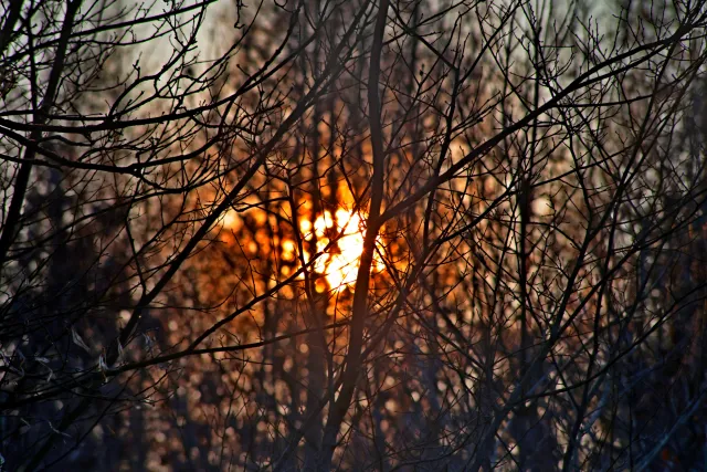 Spiratone Plura-Coat SharpShooter-S 400mm f6.3 (T2-M42) - 00005346.webp