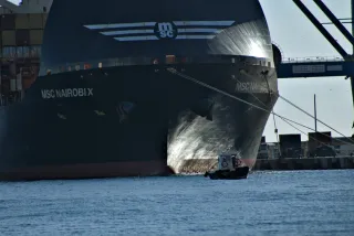 Tamron 28-300mm F3.5-6.3 (EF) - 00000406.webp