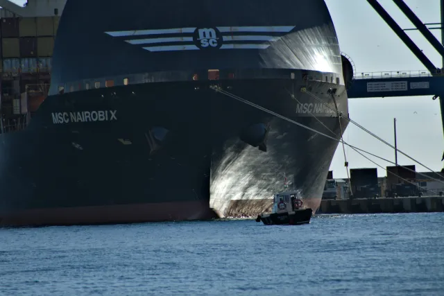 Tamron 28-300mm F3.5-6.3 (EF) - 00000406.webp